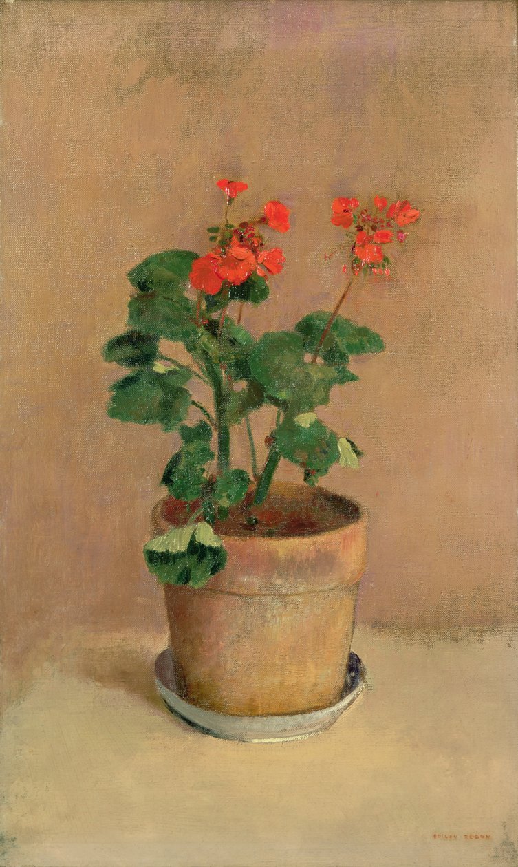 Geraniums in a Pot, c.1905 by Odilon Redon