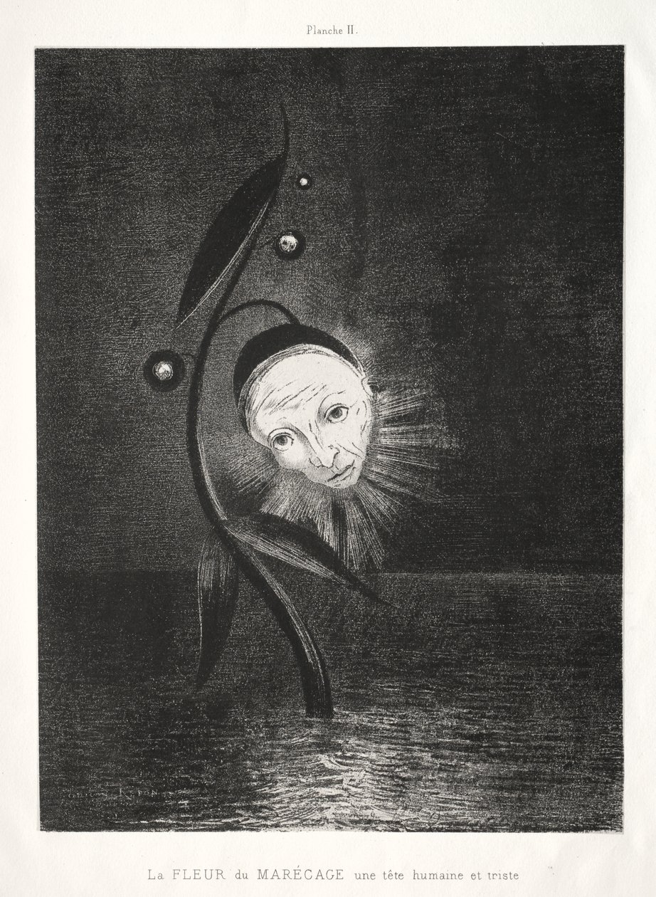The Marsh Flower, a Sad Human Head by Odilon Redon