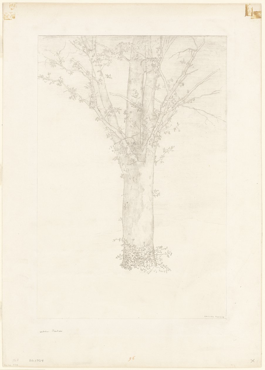 Tree by Odilon Redon