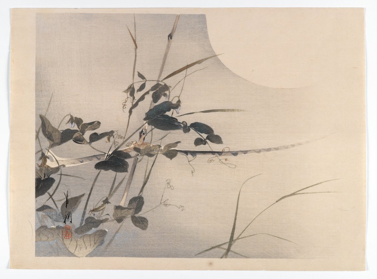 Moon and Foliage, album page from a Bird and Flower (Kacho) Book by Ogata Gekko