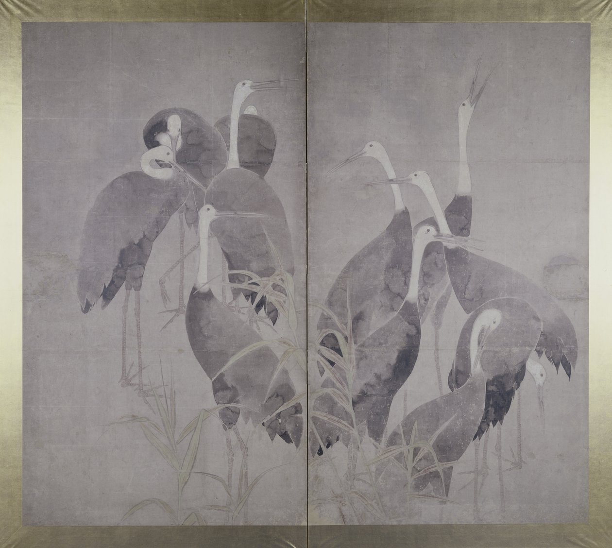 Eleven Female Cranes Standing in Dry Reed Bed, c.1700-50 by Ogata Korin
