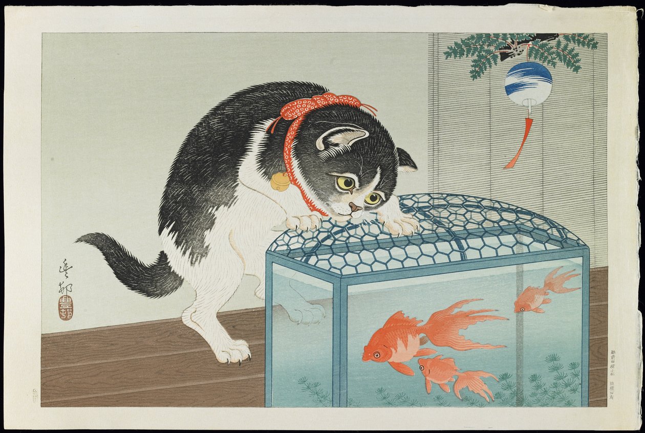 Cat and Goldfish, 1930s by Ohara Koson