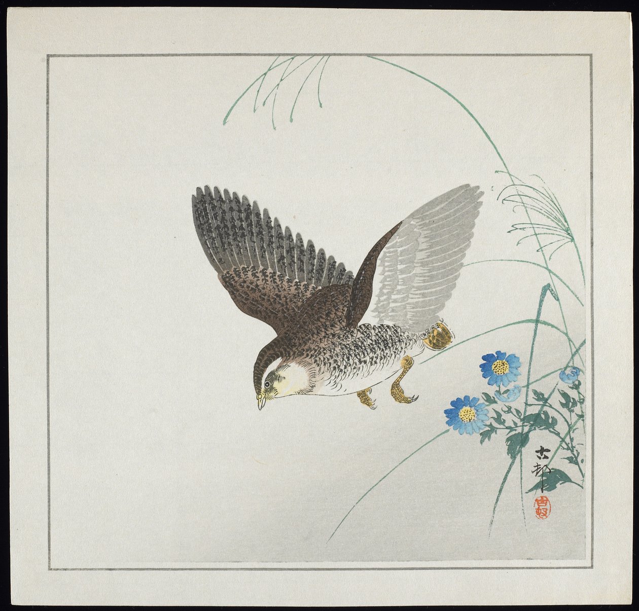 Quail in Flight, pre-1912 by Ohara Koson