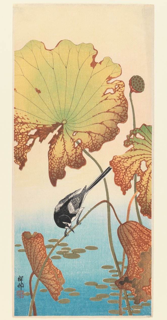Wagtail and Lotus by Ohara Koson