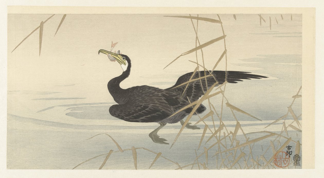Cormorant with Fish by Ohara Koson