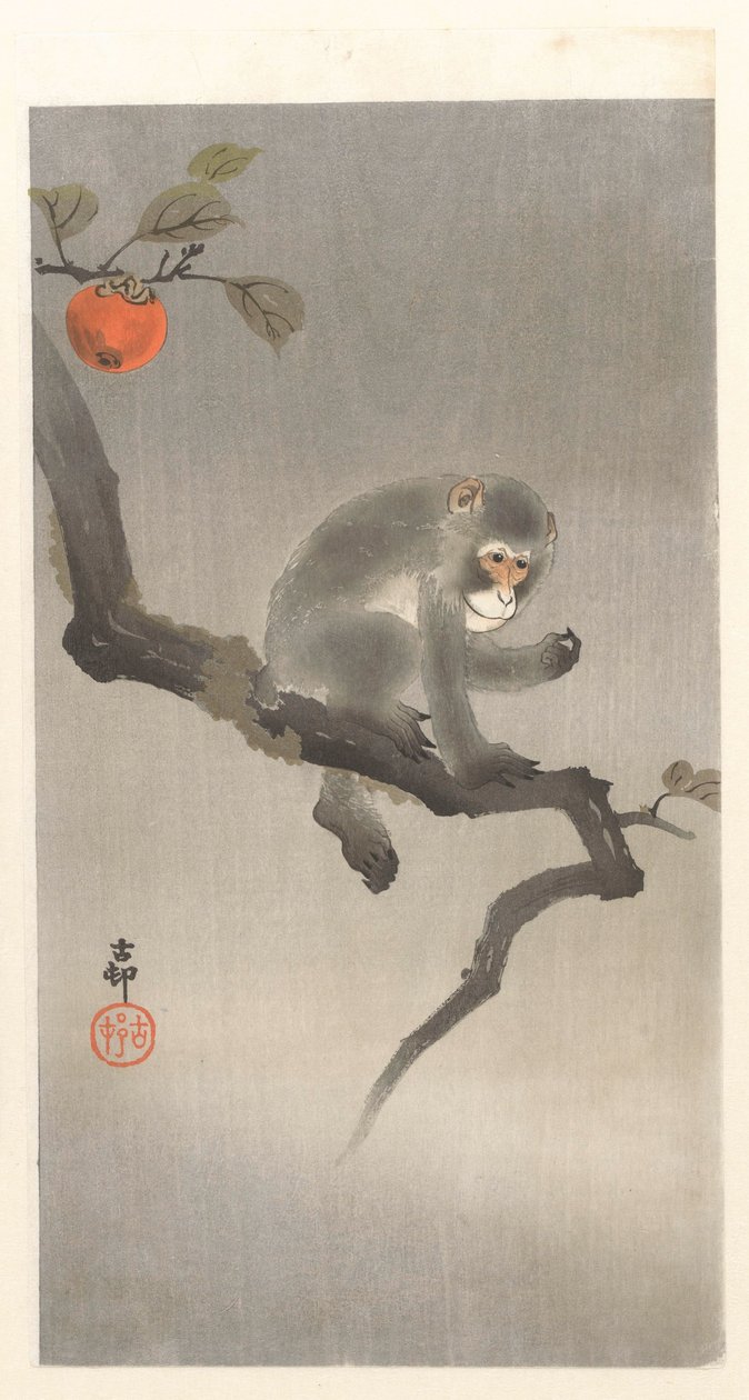 Monkey in a Persimmon Tree by Ohara Koson
