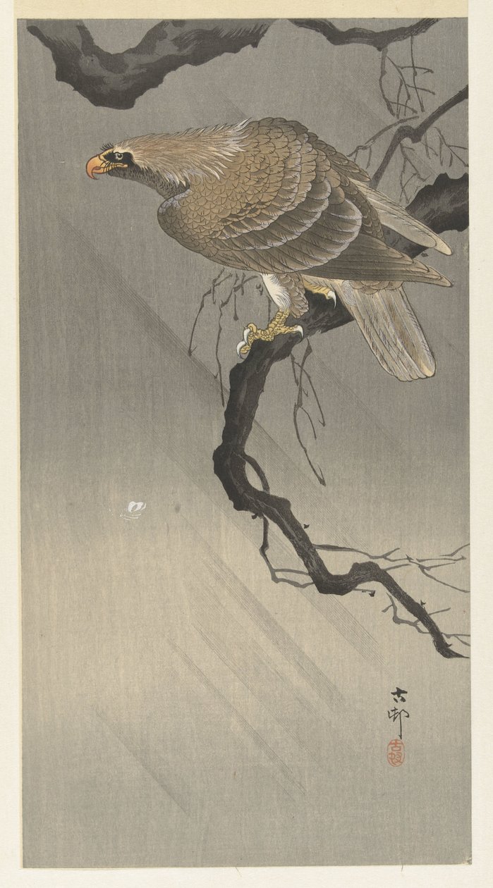Eagle on Branch by Ohara Koson