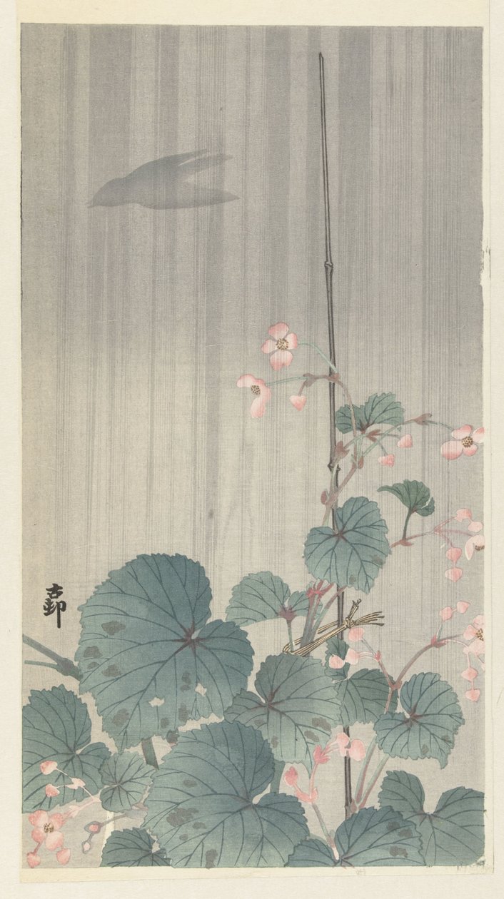 Begonia in the Rain by Ohara Koson