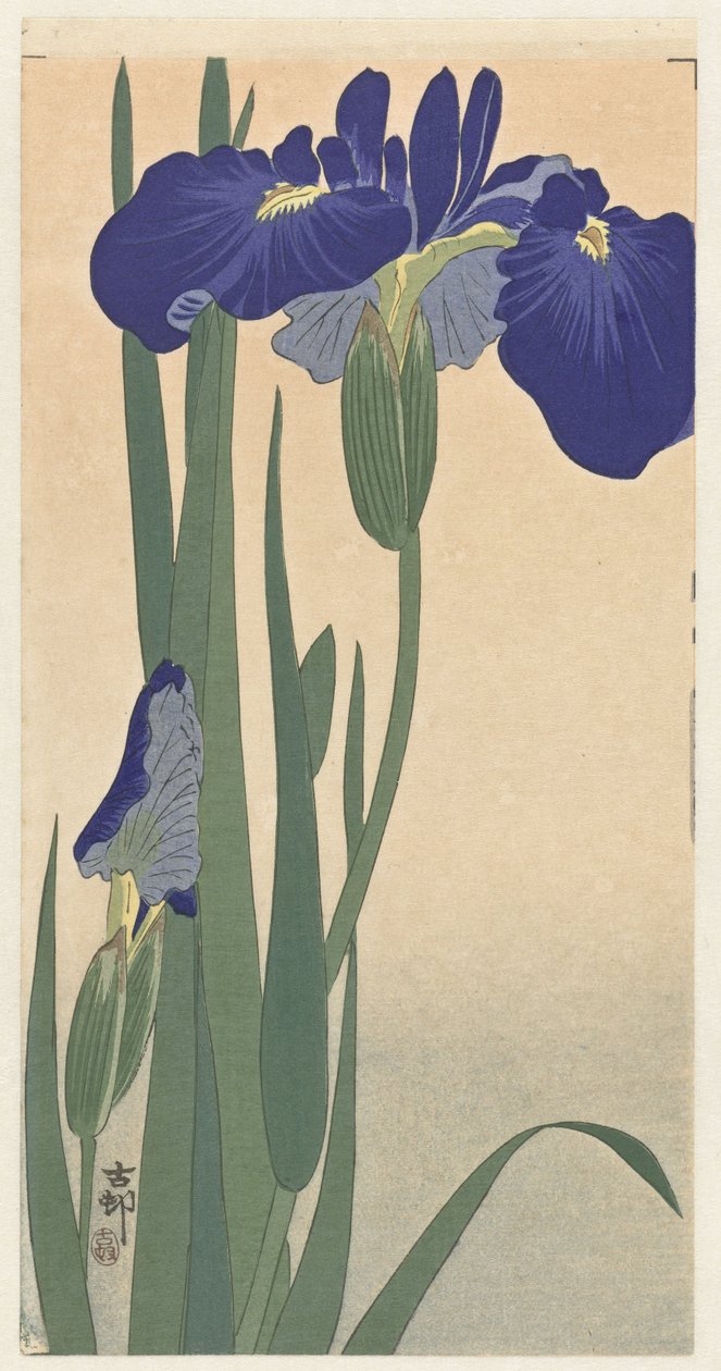 Blue Irises by Ohara Koson