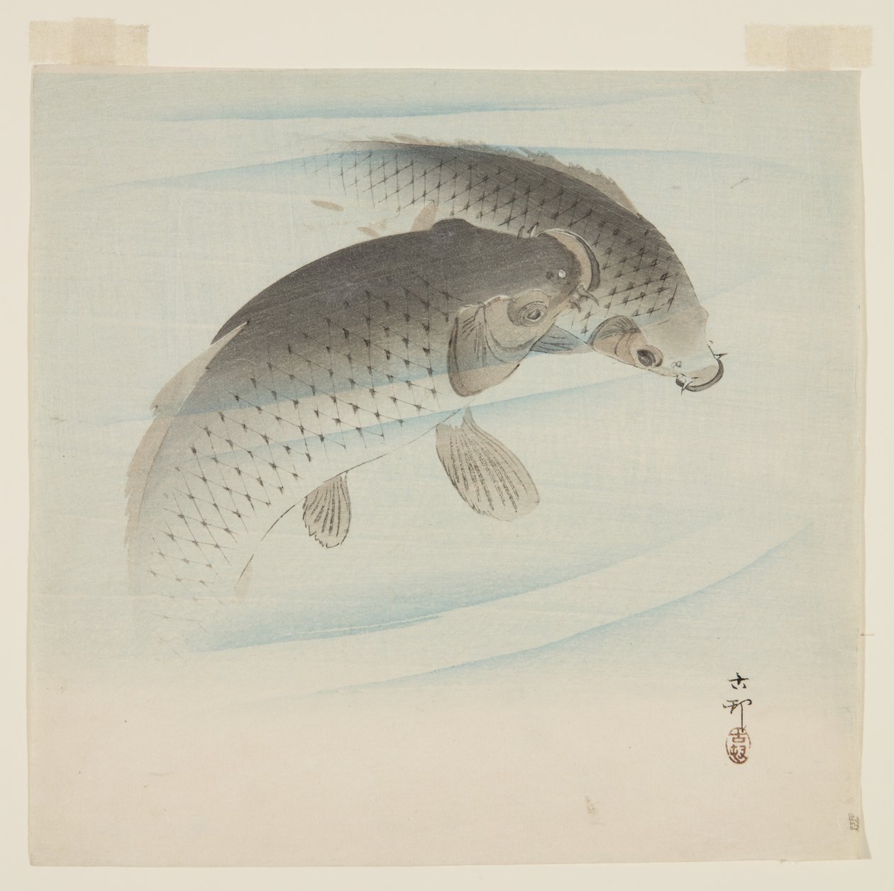 Carp by Ohara Koson