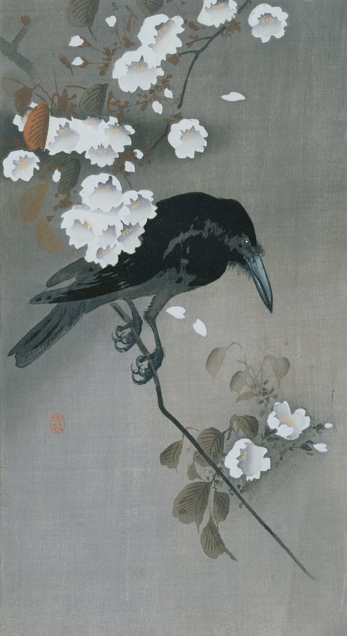 Crow in a Cherry Blossom branch by Ohara Koson