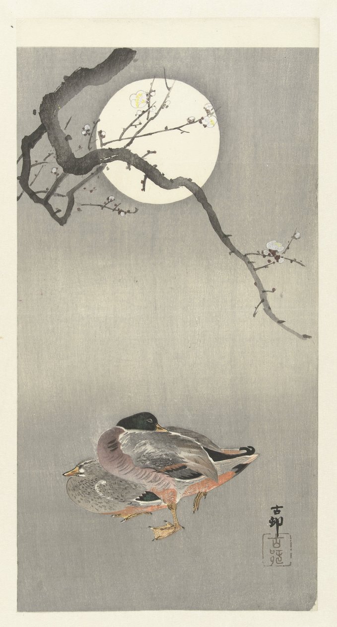 Ducks by Full Moon by Ohara Koson
