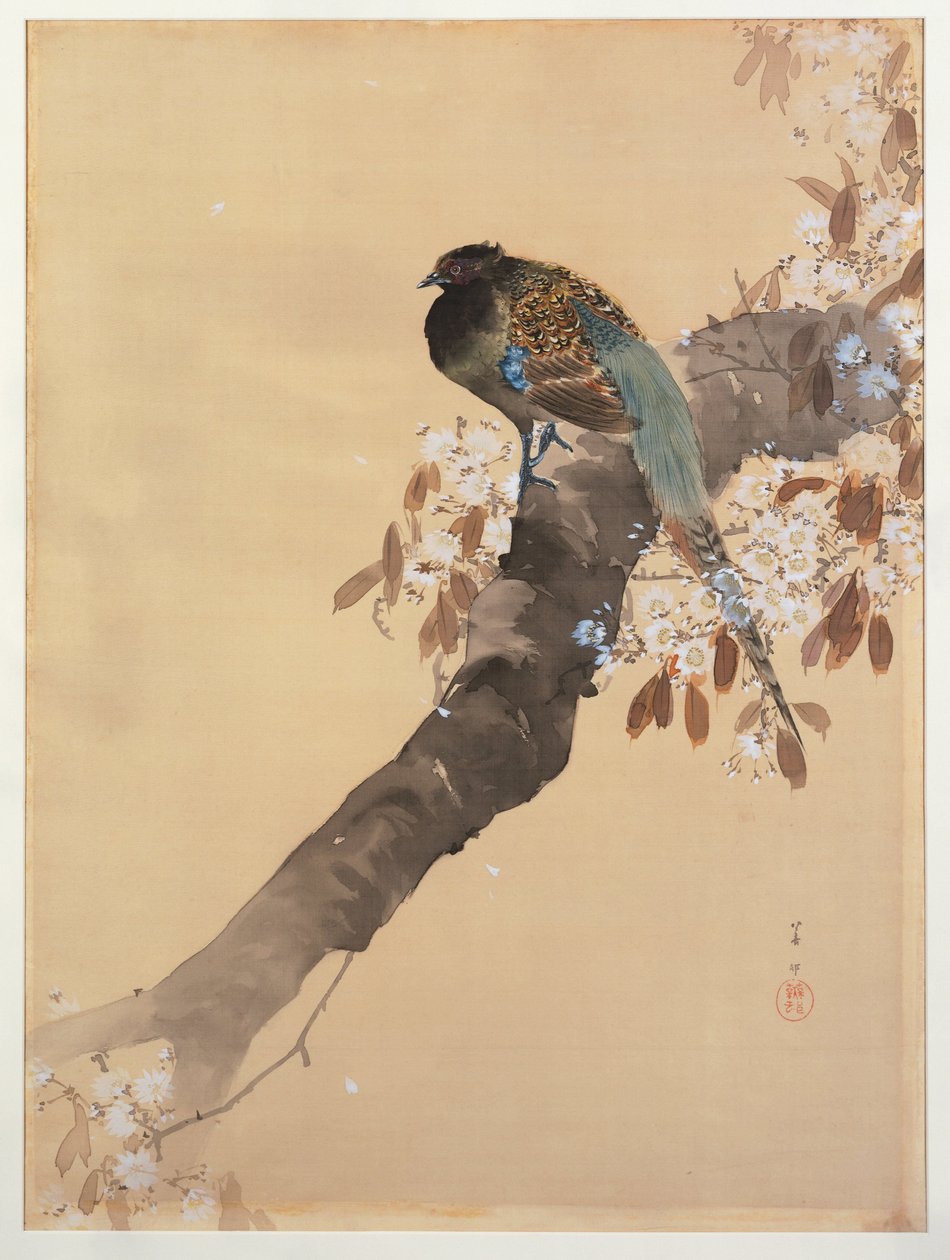 Pheasant on Cherry Blossom Branch by Ohara Koson