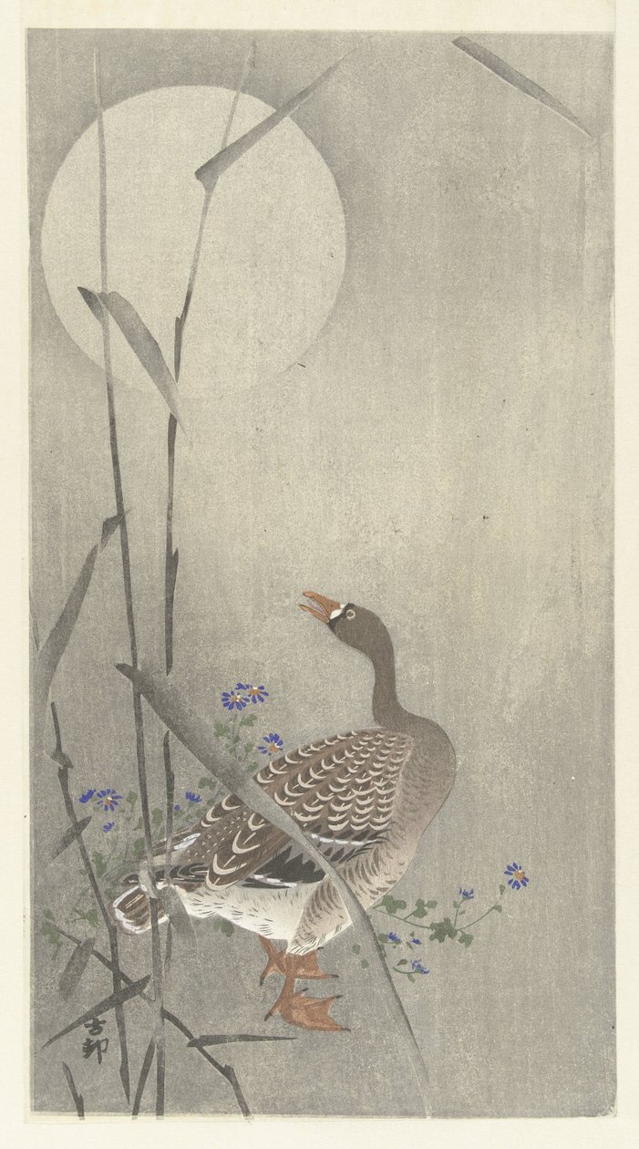 Goose by Full Moon by Ohara Koson