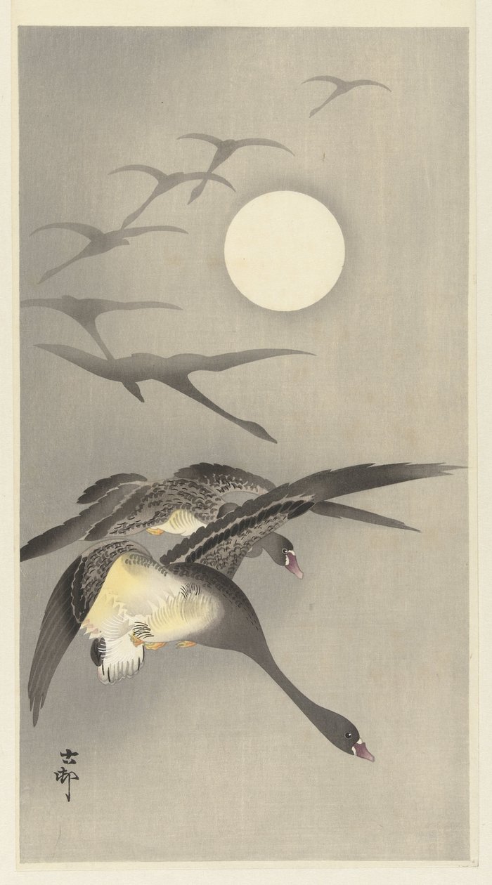 Geese by Full Moon by Ohara Koson
