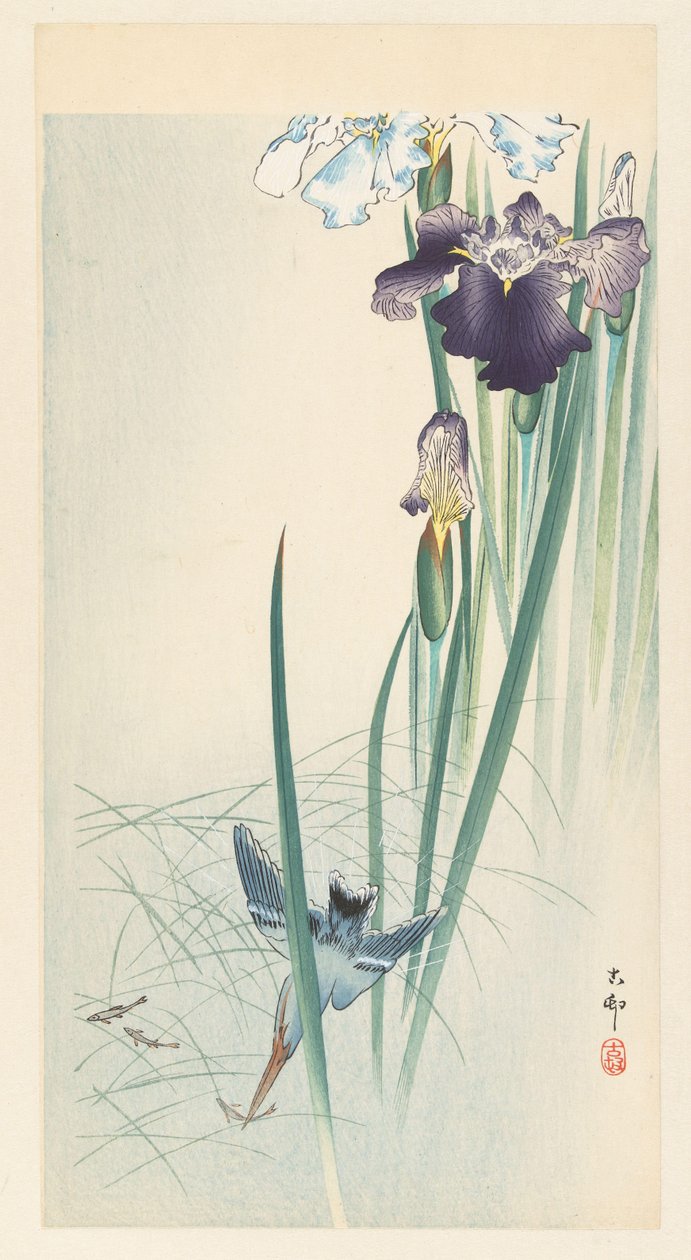 Kingfisher and Irises by Ohara Koson