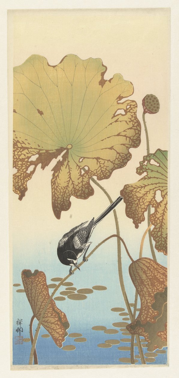 Japanese Wagtail on Lotus Plant by Ohara Koson