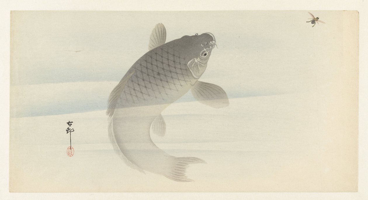 Carp and Fly by Ohara Koson