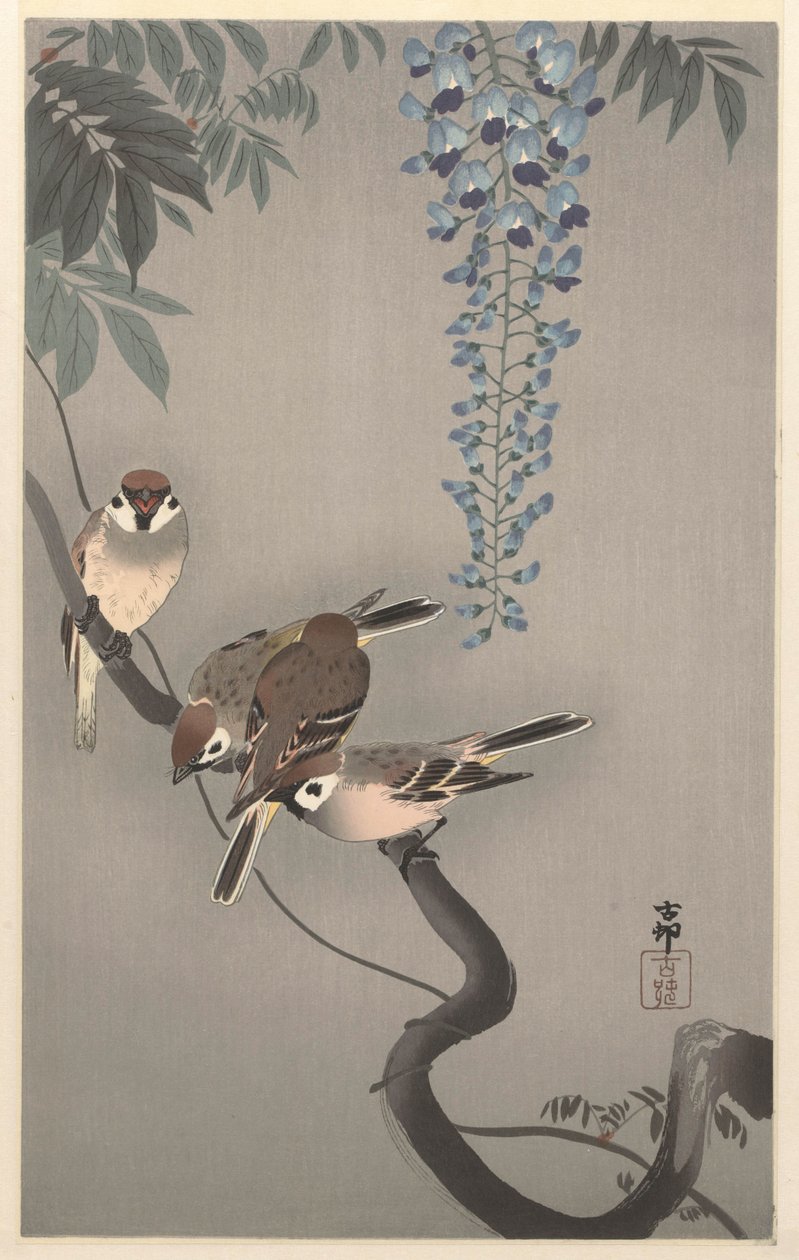 Tree Sparrows by Wisteria by Ohara Koson