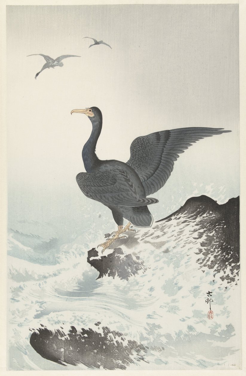 Red-faced Cormorant on Rock by Ohara Koson