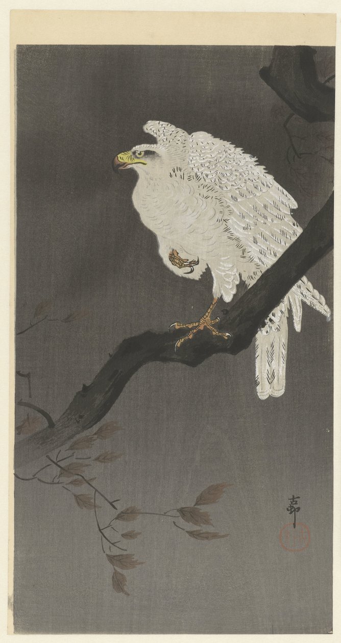 Snow Eagle on a Tree Branch by Ohara Koson