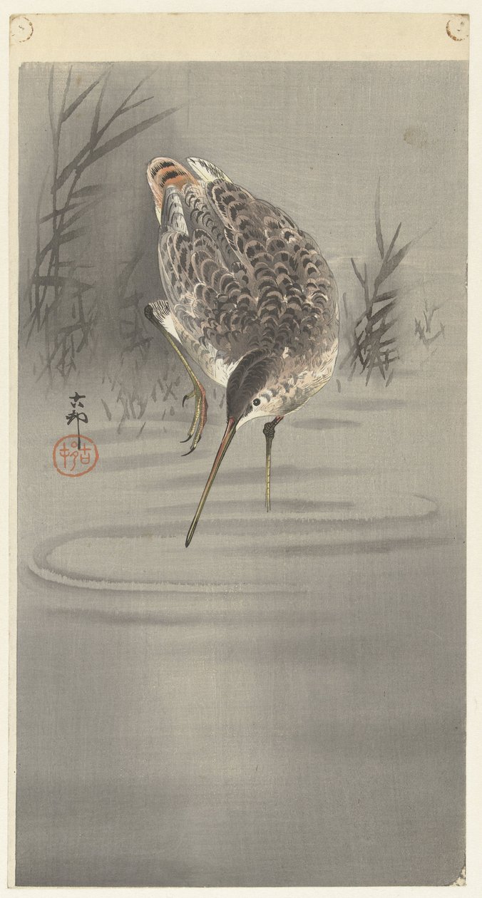 Snipe in Water by Ohara Koson