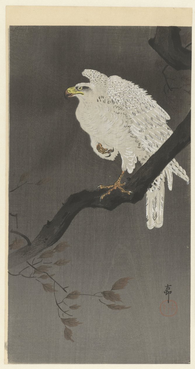 Snow Eagle on a Branch by Ohara Koson