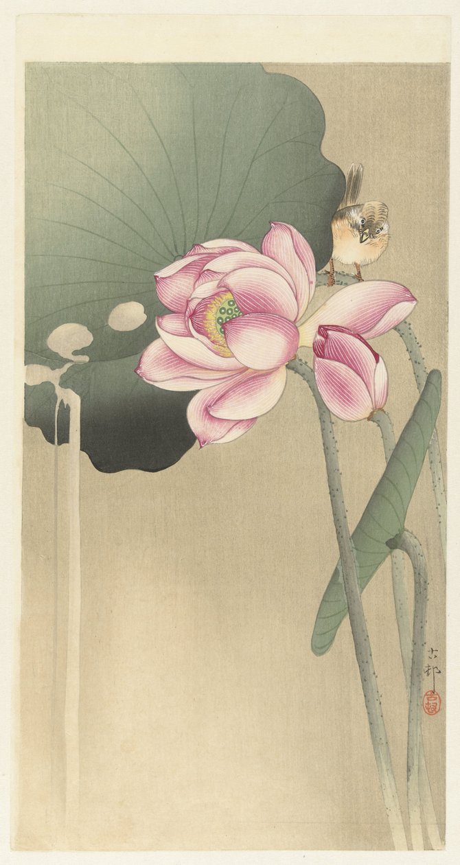 Songbird and Lotus by Ohara Koson
