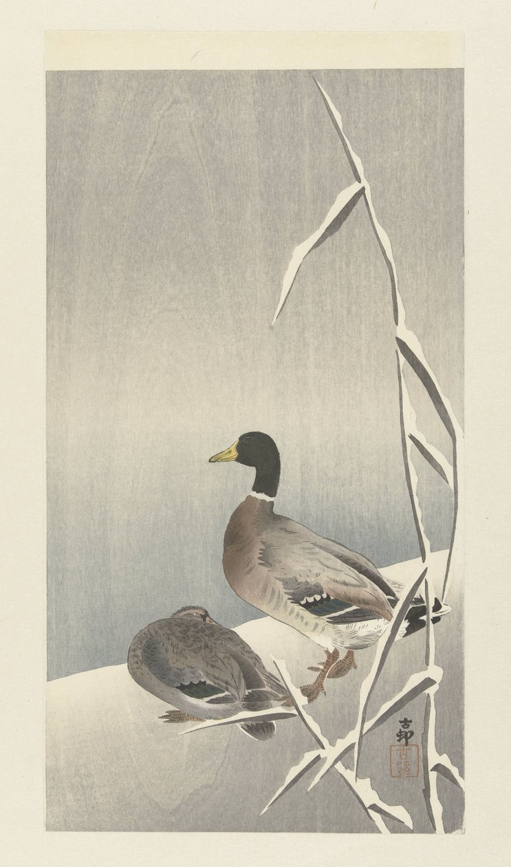 Two Ducks on Snowy Reed by Ohara Koson