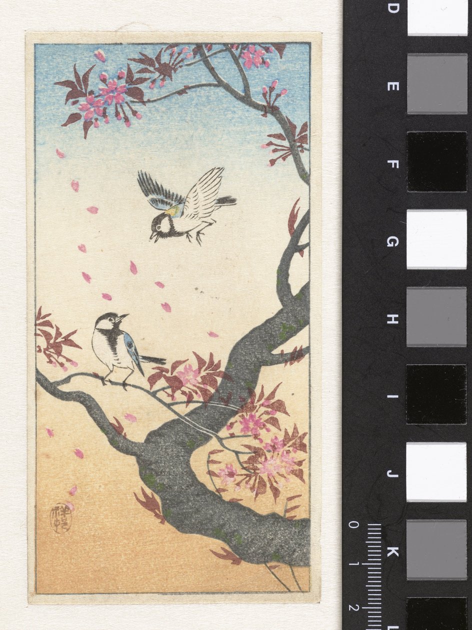 Two Great Tits by a Blossoming Tree by Ohara Koson