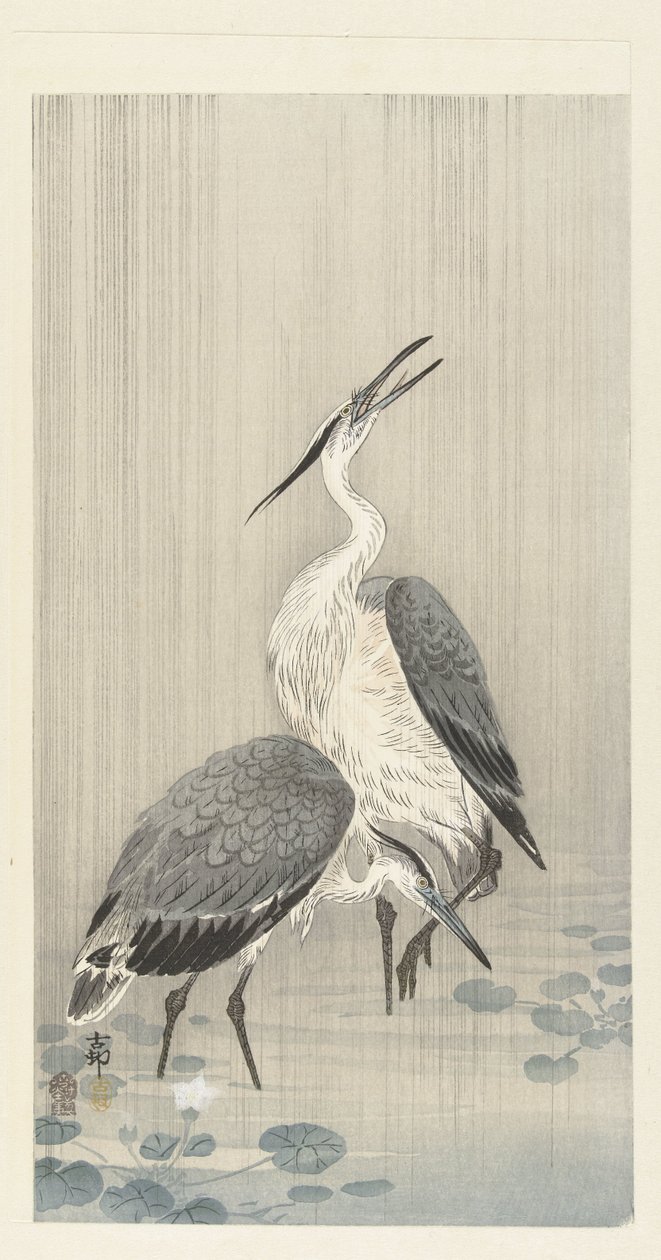 Two herons in the rain by Ohara Koson