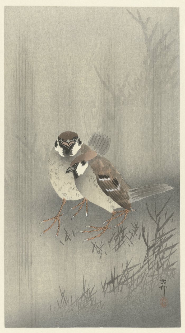 Two Sparrows in the Rain by Ohara Koson