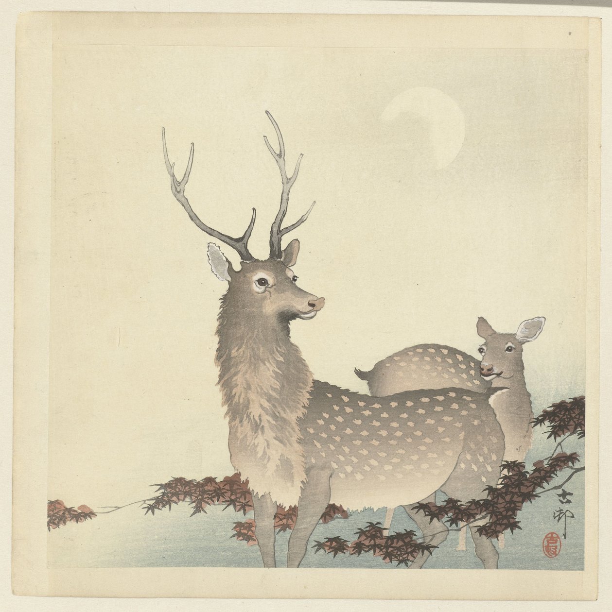 Two deer by Ohara Koson