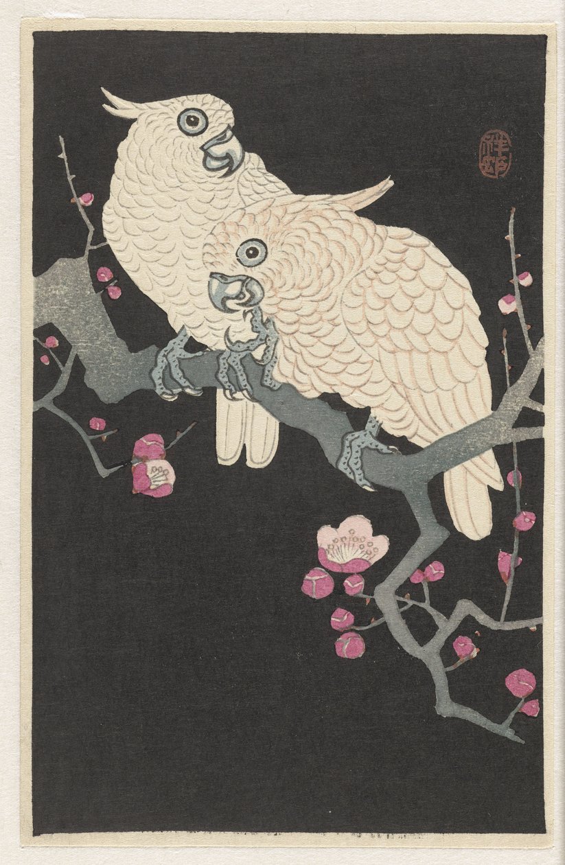 Two Cockatoos and Plum Blossom by Ohara Koson
