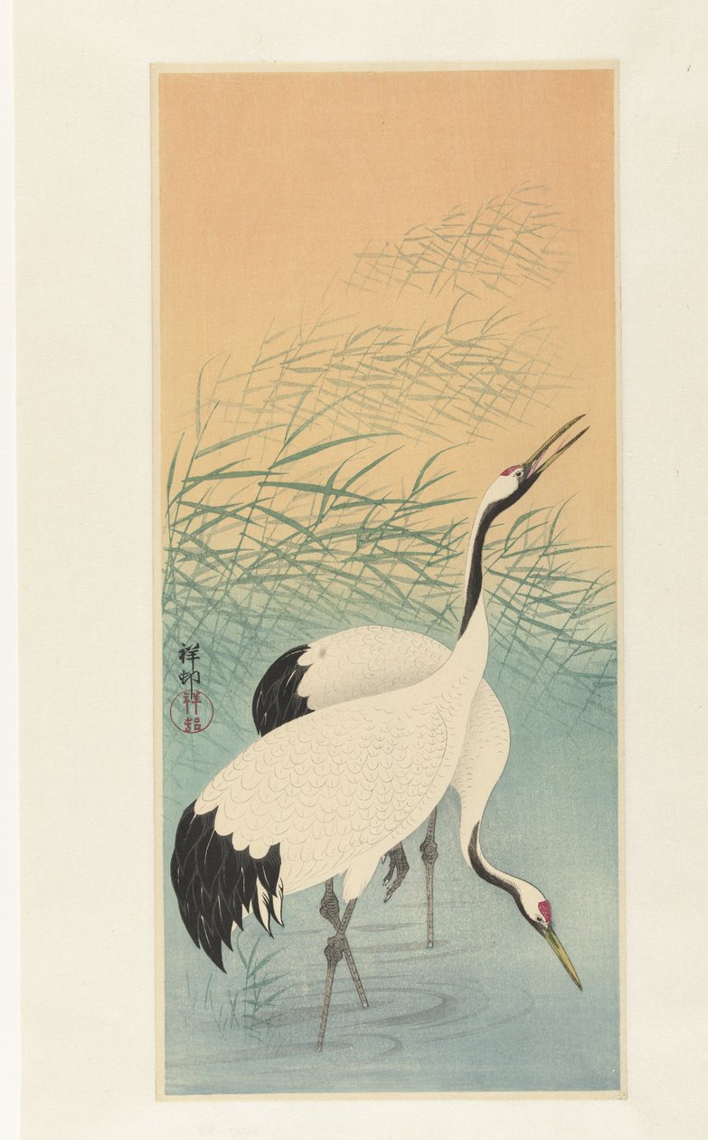 Two cranes by Ohara Koson