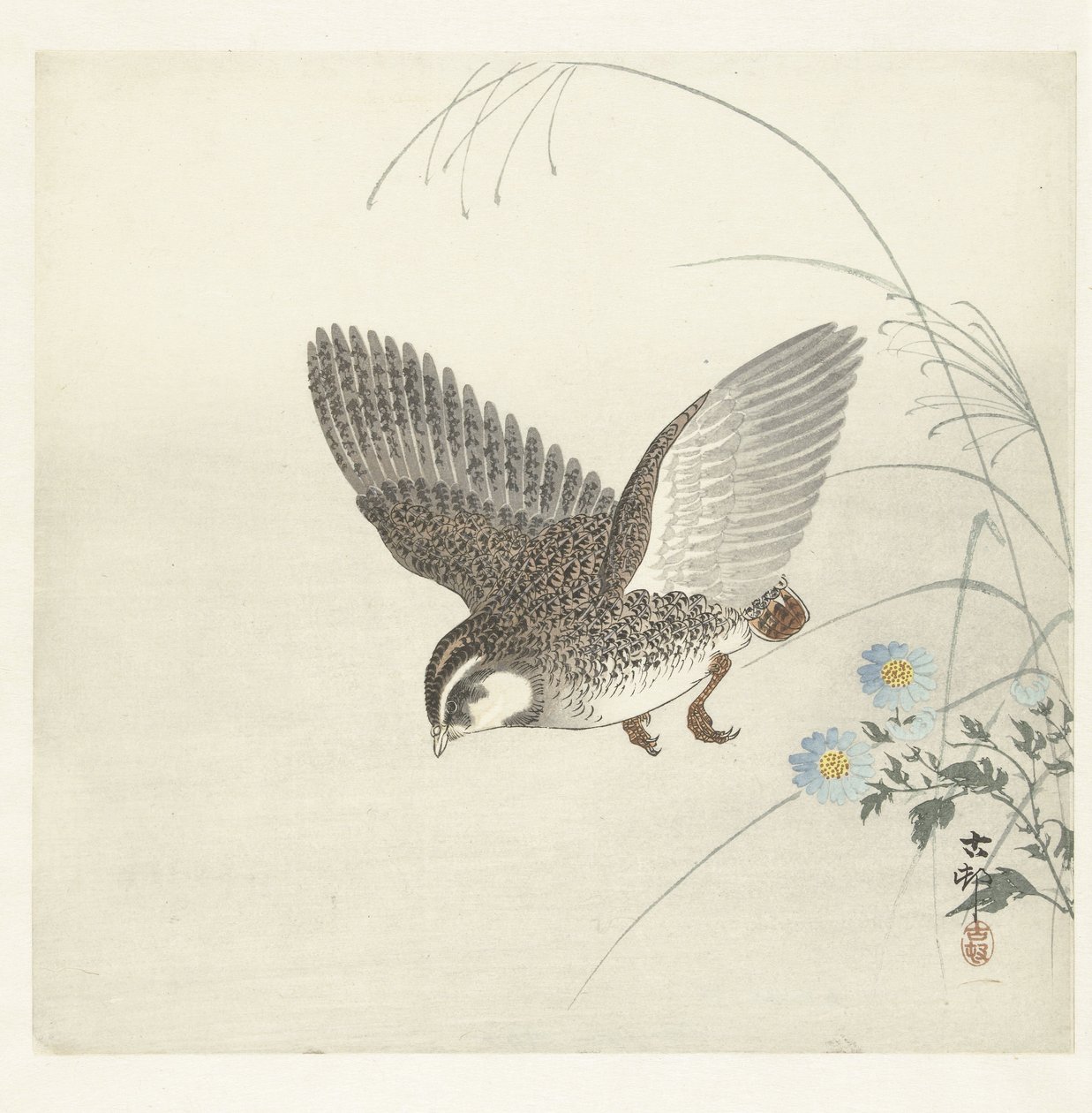 Flying Quail by Ohara Koson