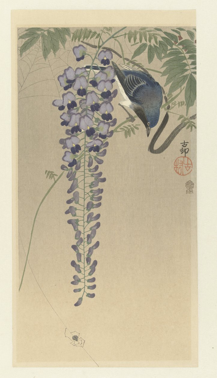 Flycatcher by Wisteria by Ohara Koson