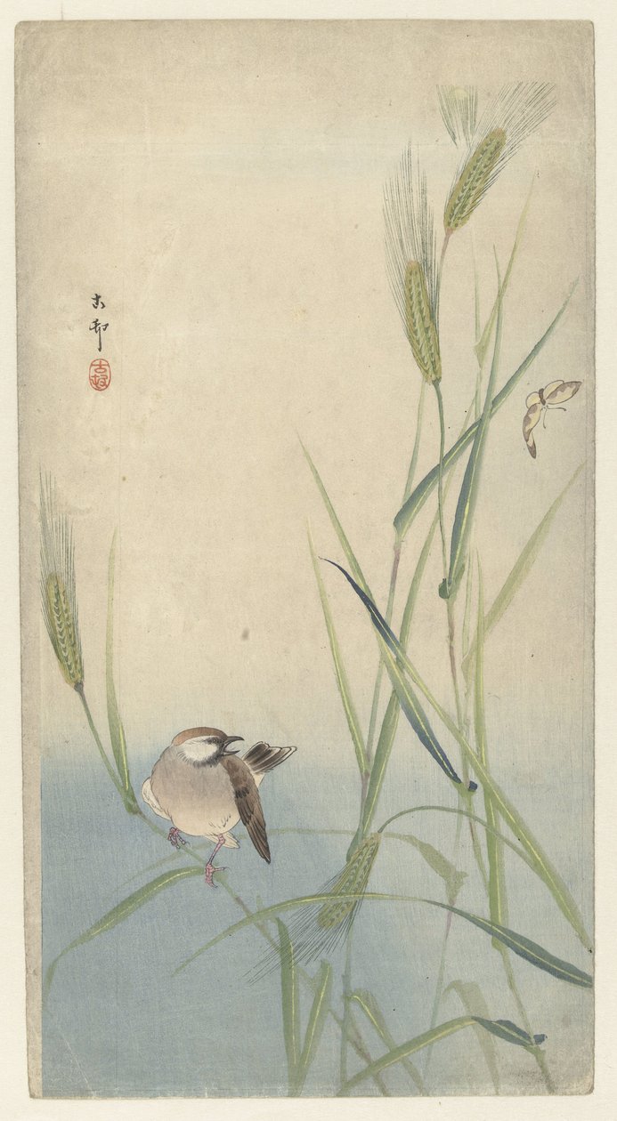Bird and Butterfly by Ohara Koson