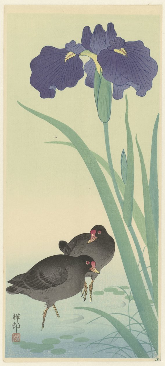 Moorhens and Iris by Ohara Koson