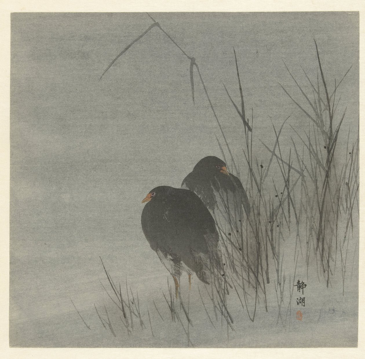 Two Coots Among Reeds by Okuhara Seiko