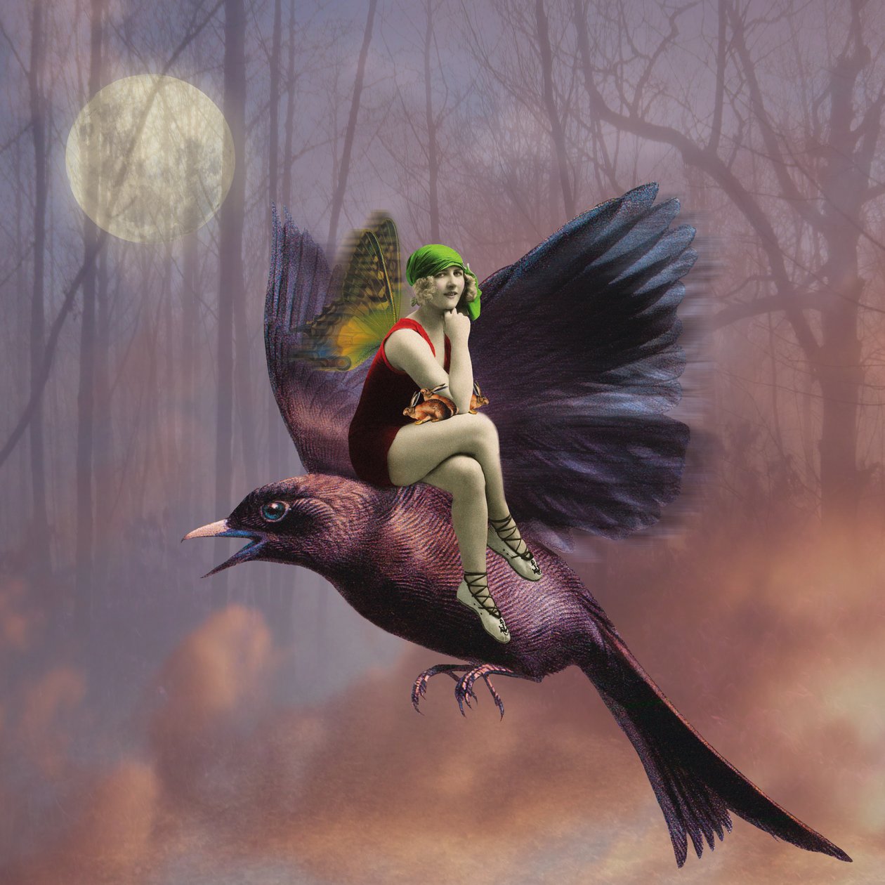 Flight, 2014 by Olga Snell