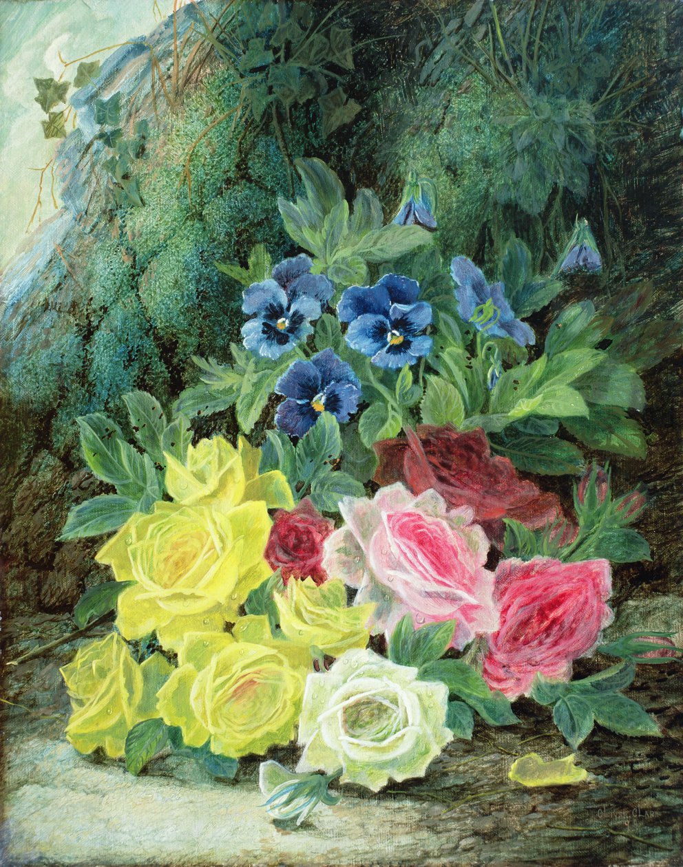 Roses by Oliver Clare