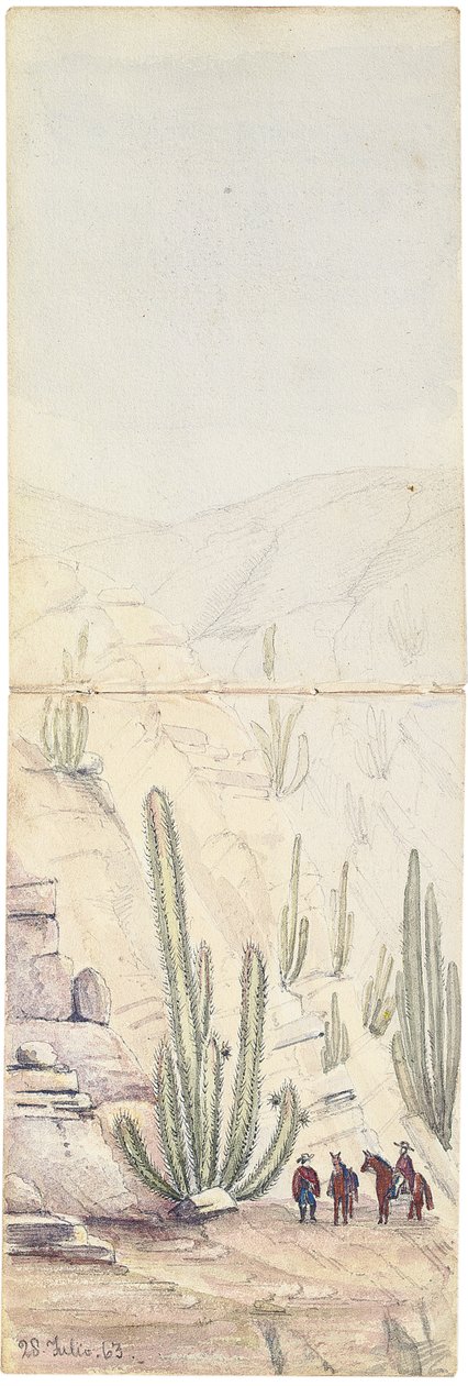 Cacti in Deep 