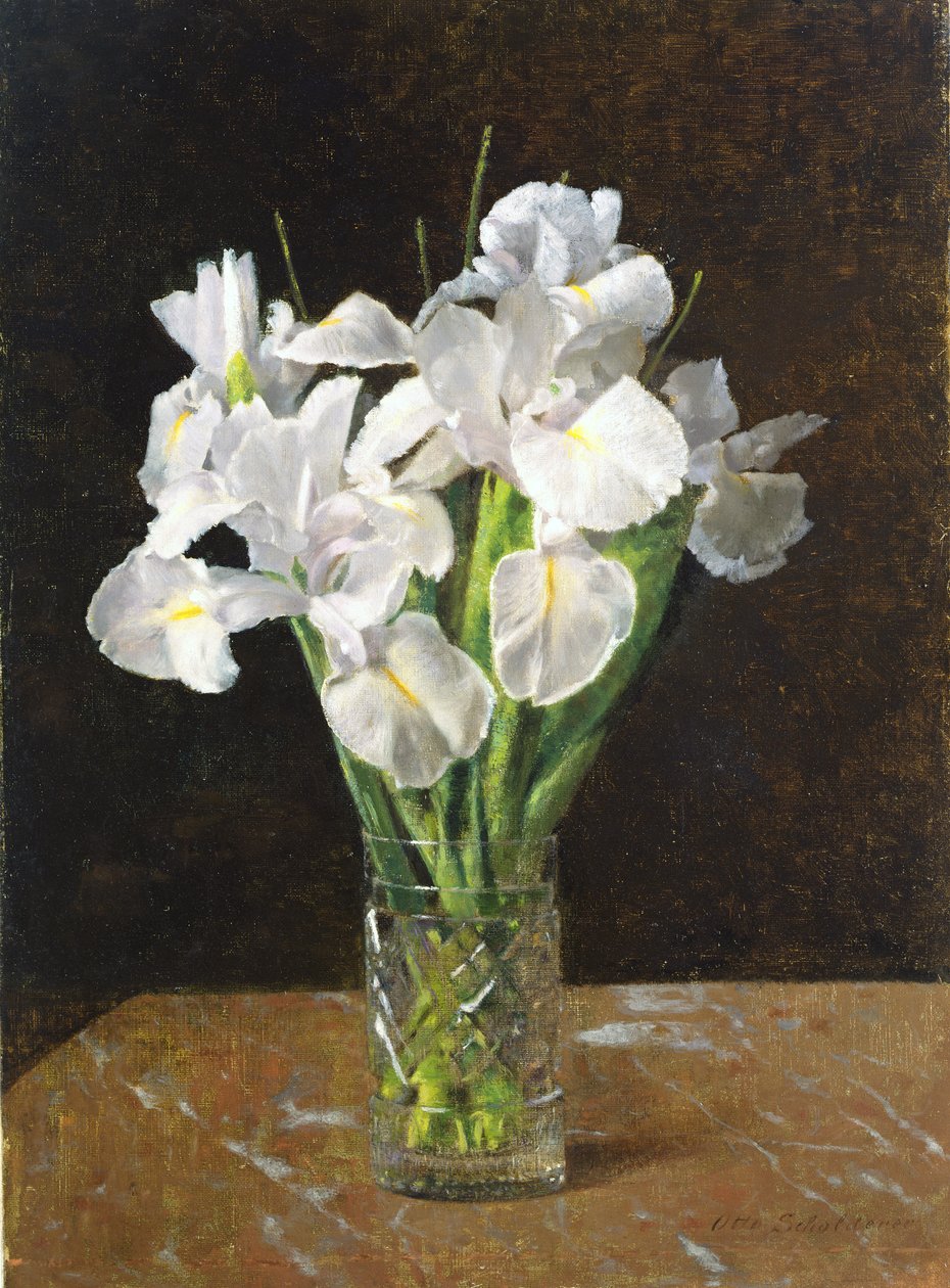 Irises, 1894 by Franz Otto Scholderer