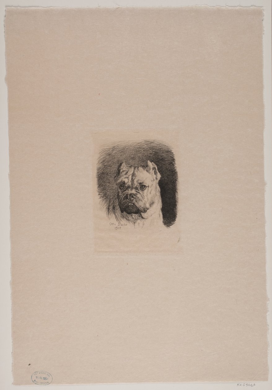 A Dog