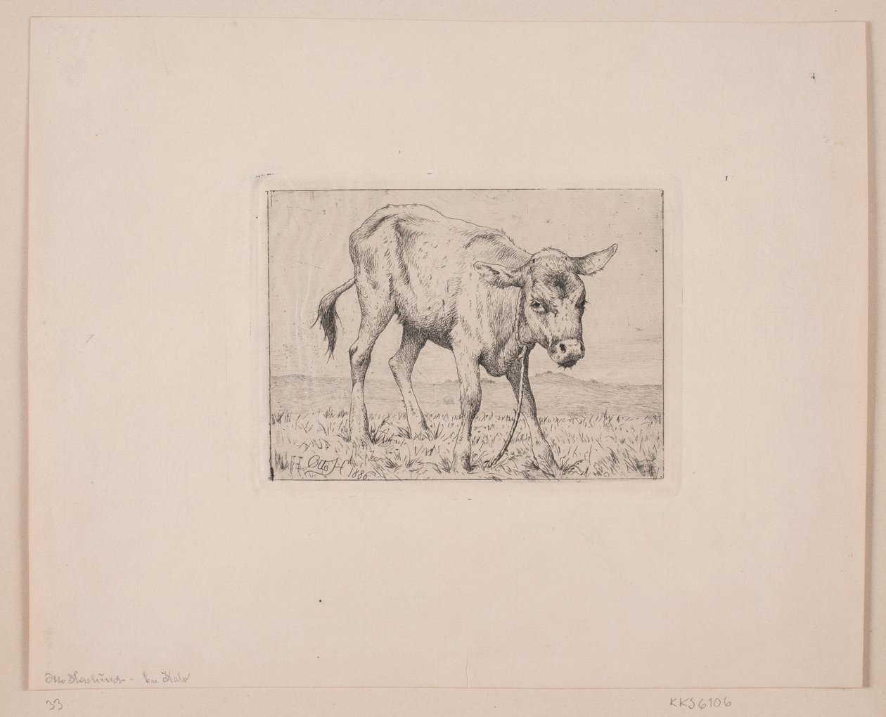 A Calf by Otto Haslund