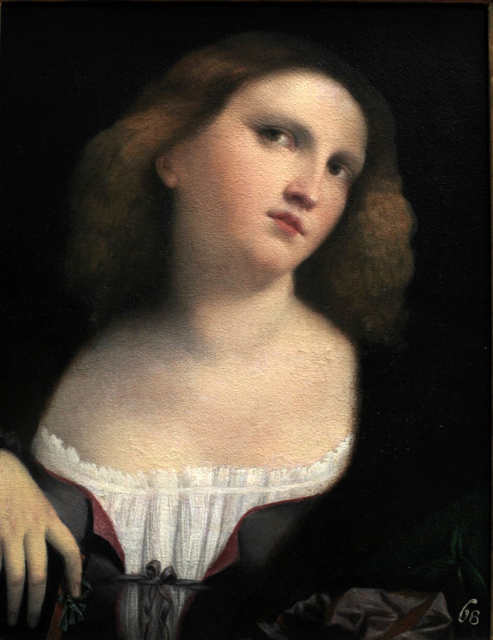 Portrait of a Woman by Palma il Vecchio