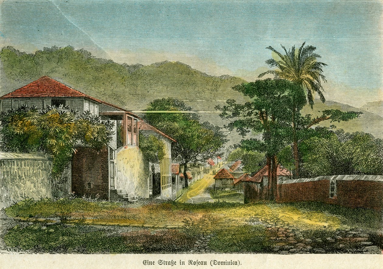 A Street in Roseau, Dominica by Pann