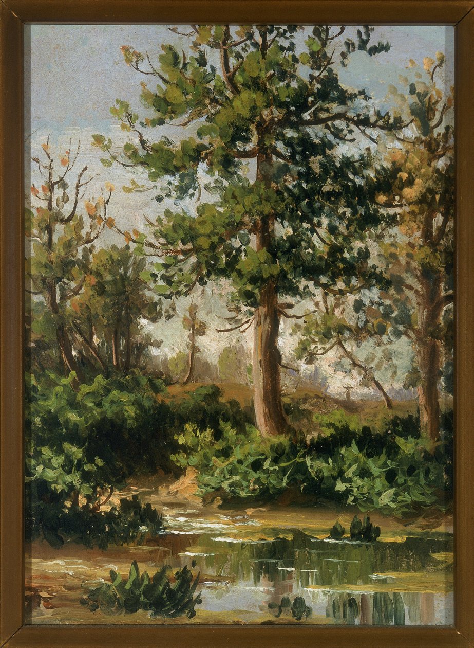 A Brook Among the Greenery by Paolo Ferretti