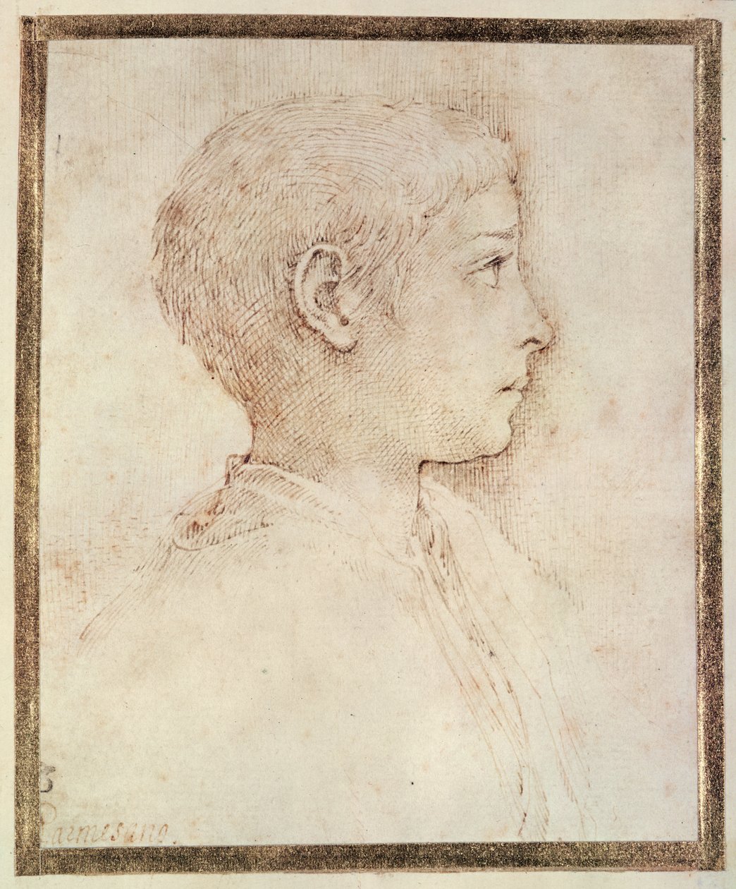 Head of a Boy by Parmigianino